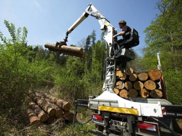 Forest Machinery